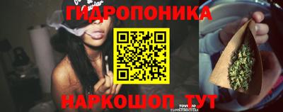 a pvp Кунгур